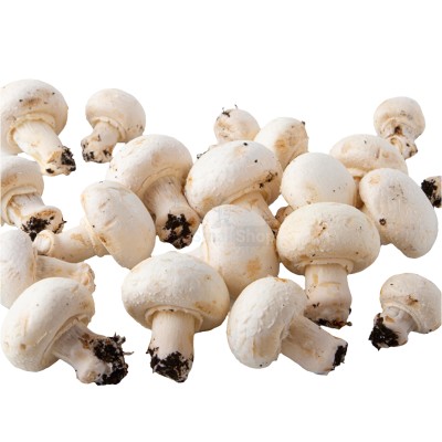 Шампиньоны свежие 500 г - купить в Мечте